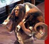 Visitez les plus grand mus&eacute;e de Pr&eacute;histoire d'Europe